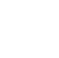 github.com logo